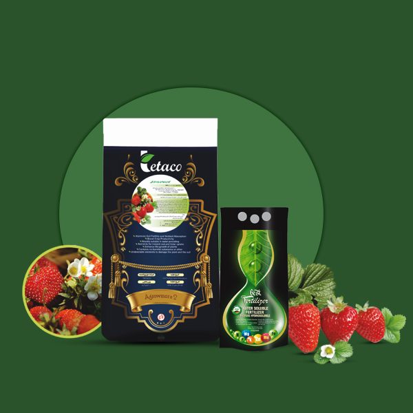 کود پیشنهادی توت فرنگی