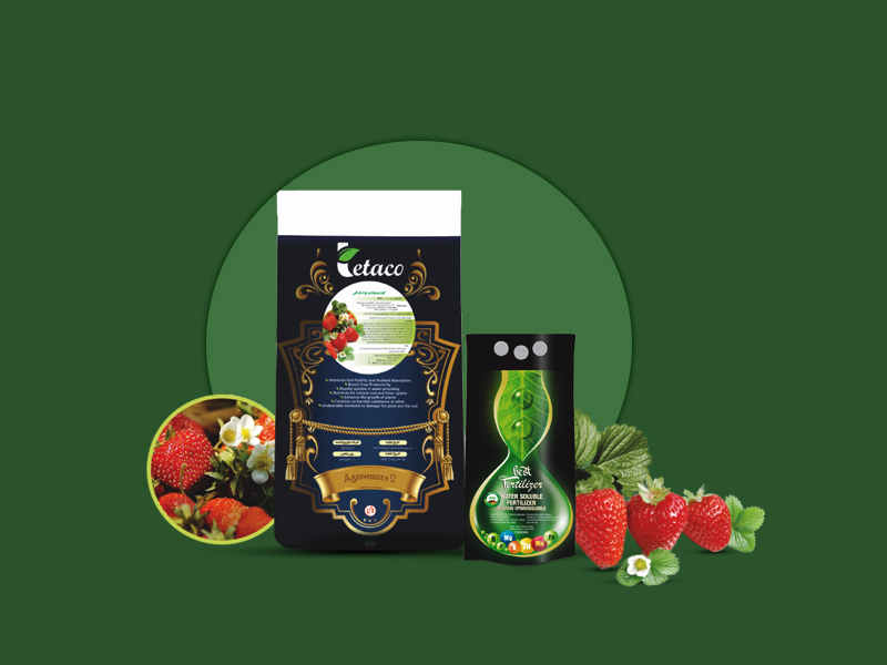 کود پیشنهادی توت فرنگی