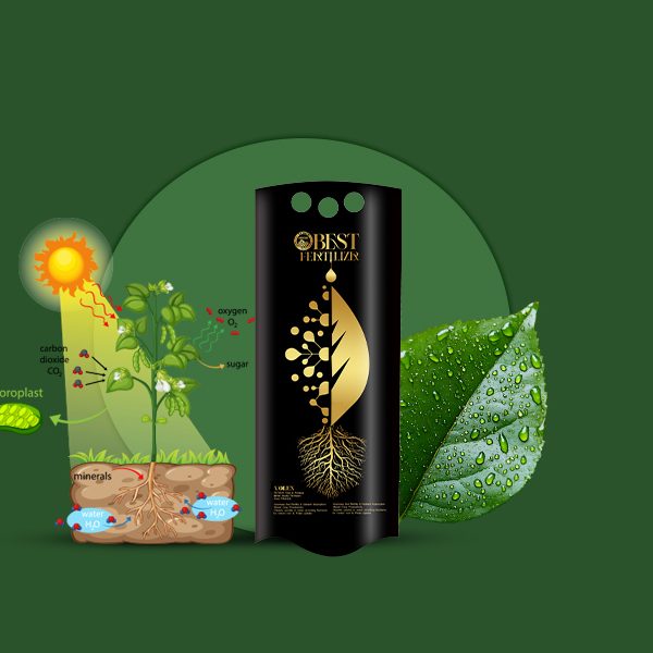 کودکلات-منگنز11% تتاکو