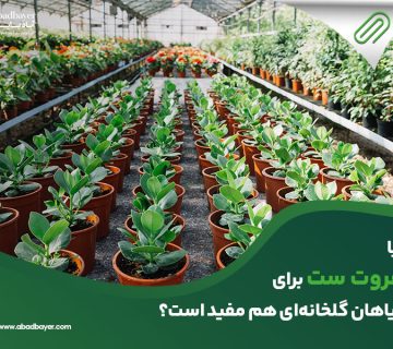 آیا فروت ست برای گیاهان گلخانه ای هم مفید است؟