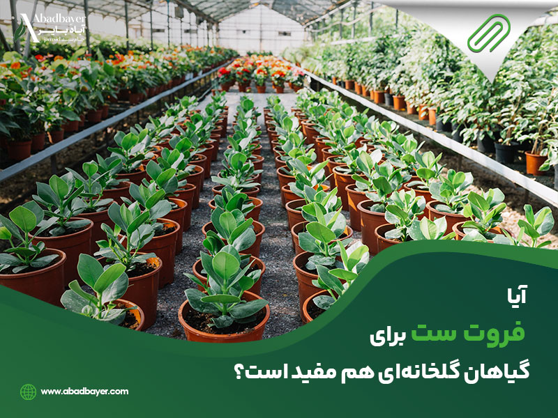 آیا فروت ست برای گیاهان گلخانه ای هم مفید است؟