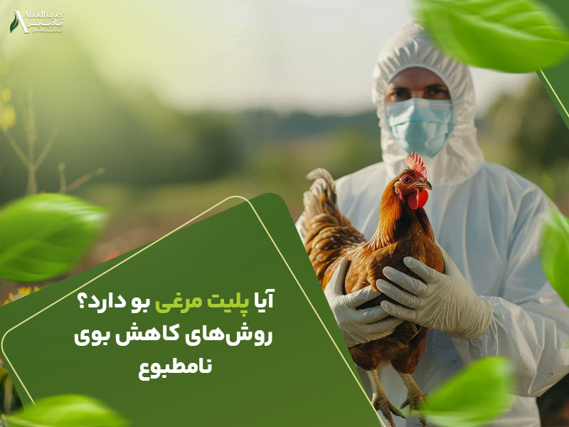 آیا پلیت مرغی بو دارد روش کاهش بوی نا مطلوب