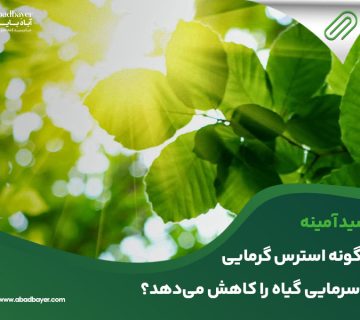 اسید آمینه چگونه استرس گرمایی و سرمایی گیاه را کاهش می دهد؟
