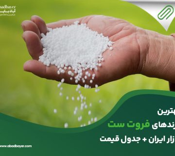 بهترین برند فروت ست بازار ایران