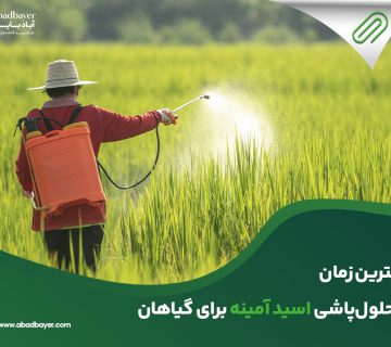 بهترین زمان محلول پاشی اسید آمینه برای گیاهان