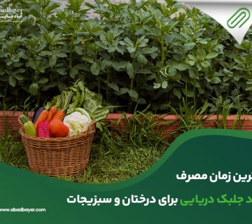  زمان مصرف جلبک دریایی برای درختان و سبزیجات 360x320