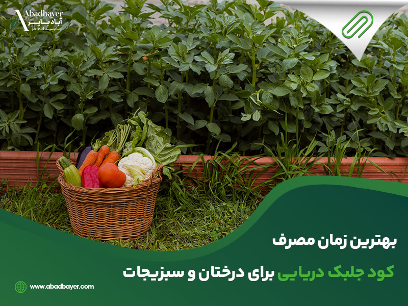  زمان مصرف جلبک دریایی برای درختان و سبزیجات