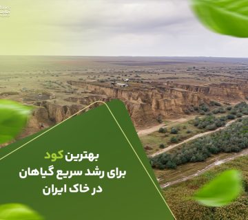  کود برای رشد سریع گیاهان در خاک ایران 360x320