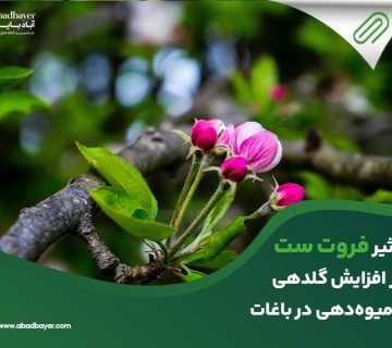 تاثیر فروت ست بر افزایش گلدهی و میوه دهی در باغات