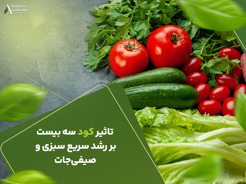 تاثیر کود سه بیست بر رشد سریع سبزی و صیفی جات