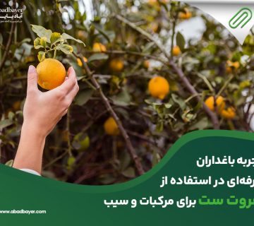  باغداران حرفه ای در استفاده از فروت ست برای مرکبات و سیب 360x320