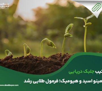 ترکیب جلبک دریایی با آمینو اسید و هیومیک