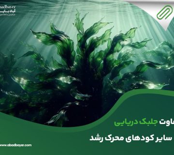 تفاوت جلبک دریایی با سایر کود های محرک رشد