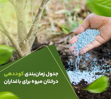 جدول زمانبدی کوددهی درختان میوه برای باغداران