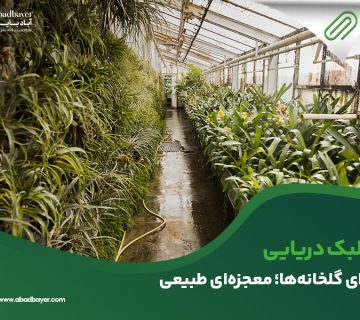 جلبک دریایی برای گلخانه ها