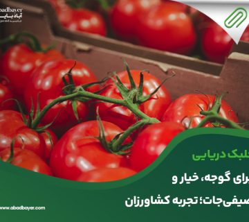 جلبک دریایی برای گوجه و خیار و صیفی جات