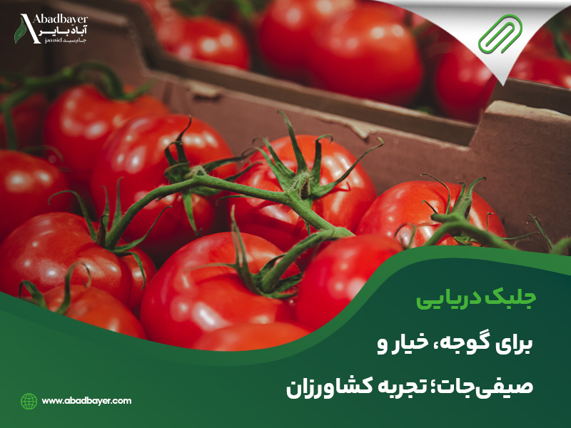 جلبک دریایی برای گوجه و خیار و صیفی جات