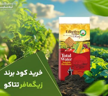 خرید برند زیگمافر تتاکو