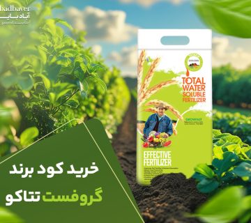 خرید برند گروفست تتاکو