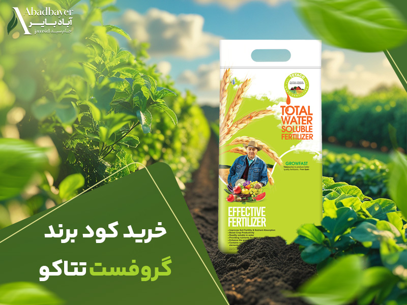 خرید برند گروفست تتاکو