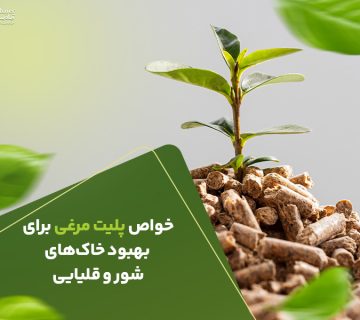 خواص پلیت مرغی برای بهبود خاک‌های شور و قلیایی
