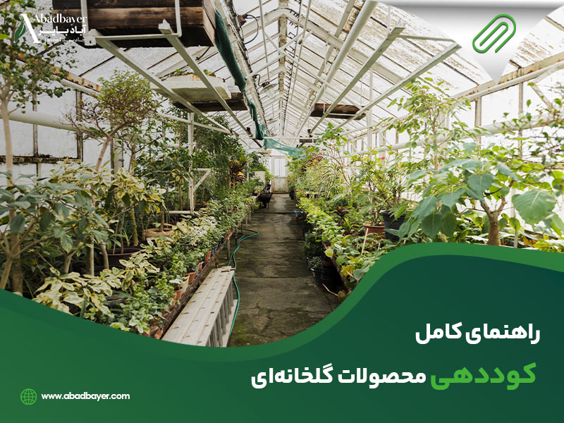 راهنمای کامل کوددهی محصولات گلخانه ای