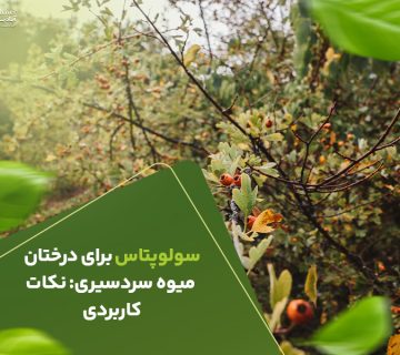 سولوپتاس برای درختان میوه سردسیر نکات کاربردی