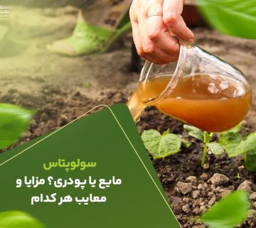  مایع یا پودری مزایا و معایب هر کدام 360x320