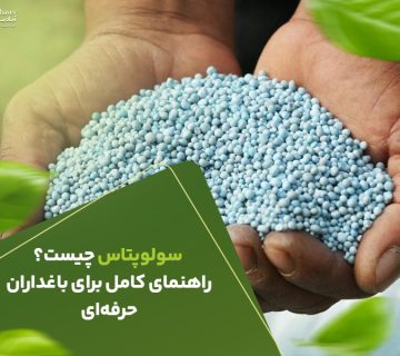 سولوپتاس چیست ؟ راهنمای کامل برای باغداران حرفه ای