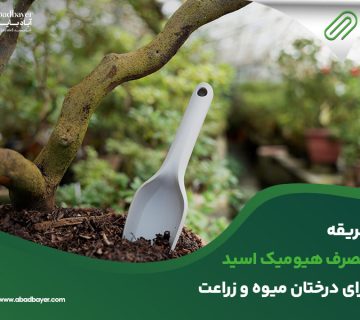 طریقه مصرف هیومیک اسید برای درختان میوه و زراعت
