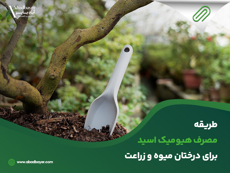 طریقه مصرف هیومیک اسید برای درختان میوه و زراعت