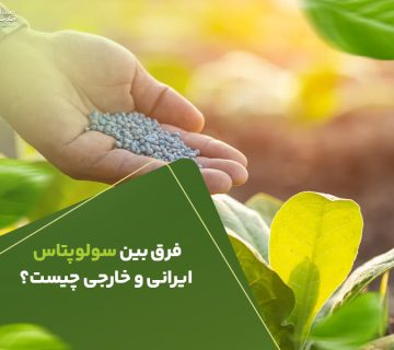 فرق بین سولوپتاس ایرانی و خارجی چیست؟
