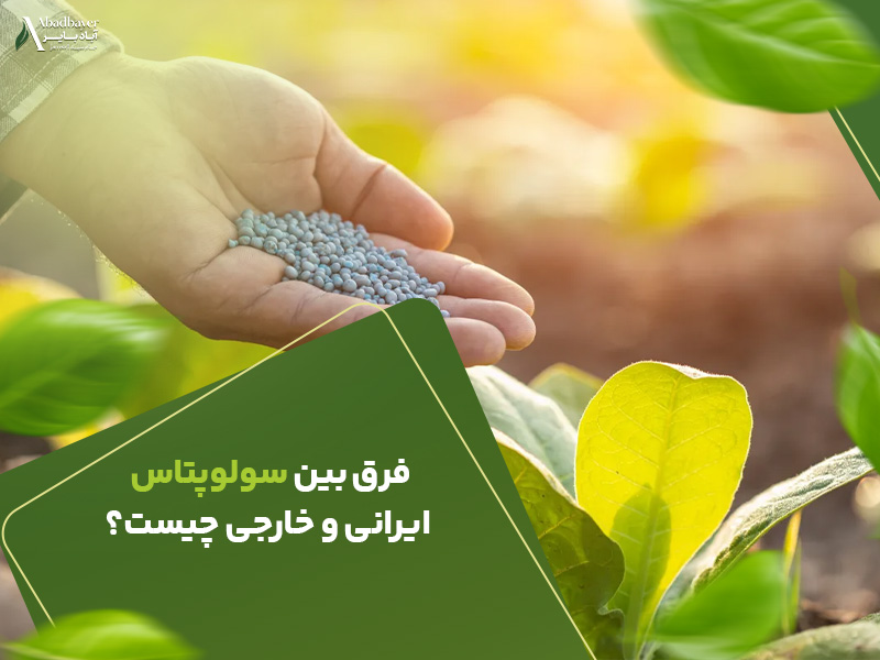 فرق بین سولوپتاس ایرانی و خارجی چیست؟
