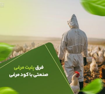 فرق پلیت مرغی صنعتی با کود مرغی