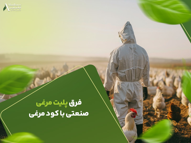 فرق پلیت مرغی صنعتی با کود مرغی