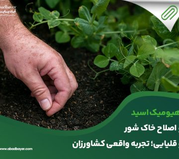 هیومیک اسید و اصلاح خاک شور و قلیایی تجربه واقعی کشاورزان