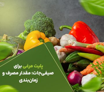 پلیت مرغی برای صیفی‌جات مقدار مصرف و زمان‌بندی