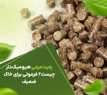 پلیت مرغی هیومیک دار چیست ؟