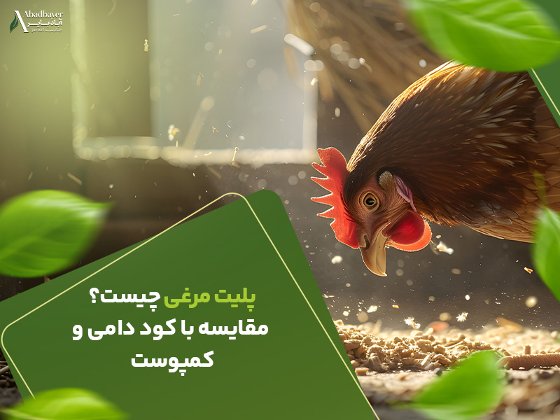 پلیت مرغی چیست مقایسه با کود دامی و کمپوست