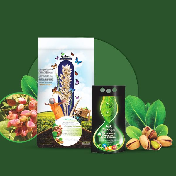 پیشنهادی پسته