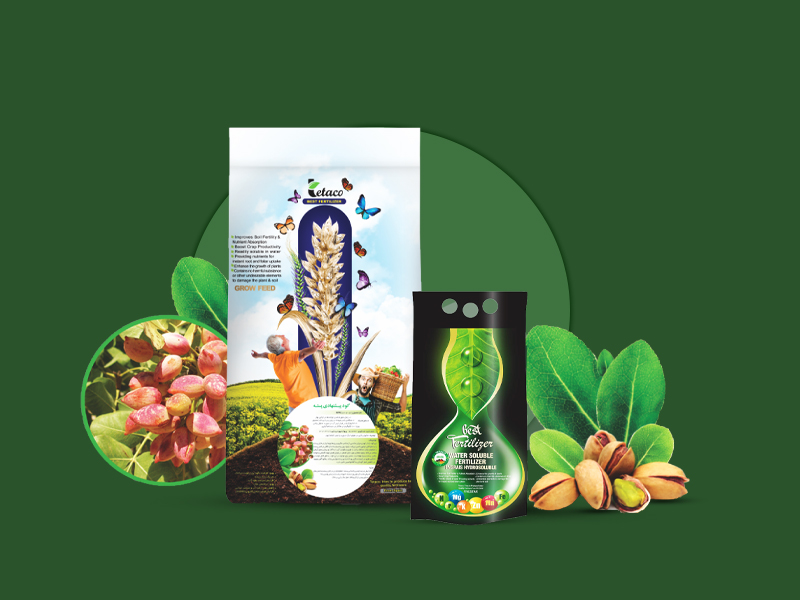 پیشنهادی پسته