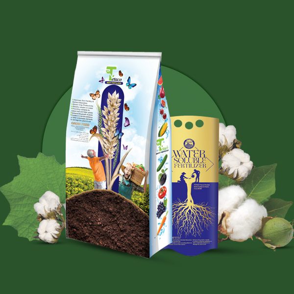 پیشنهادی پنبه