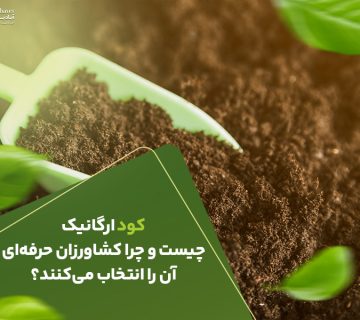 کود ارگانیک چیست ؟ چرا کشاورزان حرفه ای آن را انتخاب میکنند؟