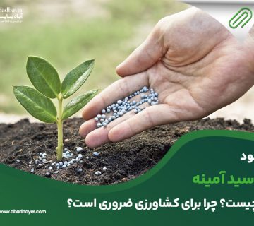 کود اسید آمینه چیست ؟چرا برای کشاورزی ضروری است؟