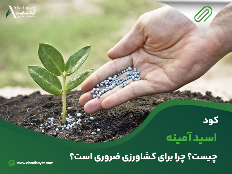 کود اسید آمینه چیست ؟چرا برای کشاورزی ضروری است؟