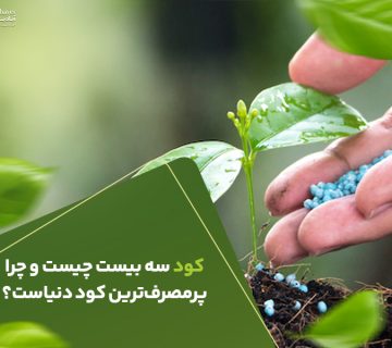 کود سه بیست چیست و چرا پر مصرف ترین کود دنیاست