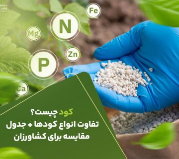 کود چیست ؟ تفاوت انواع کود ها و جدول مقایسه برای کشاورزان