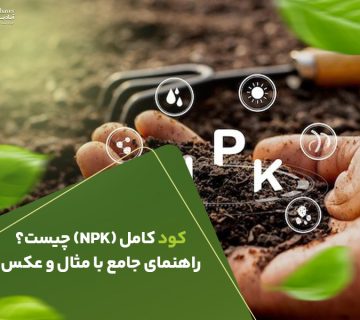 کود کامل NPK چیست؟