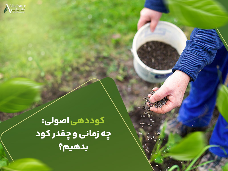 کوددهی اصولی چه زمانی و چقدر کود بدهیم