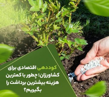 کوددهی اقتصادی برای کشاورزان چطور با کمترین هزینه بیشترین برداشت را بگیریم